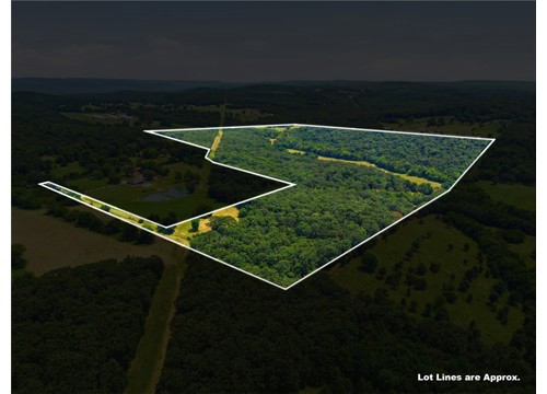 11373 Colcleasure (WC 135) Road 106 Acres, Fayetteville AR