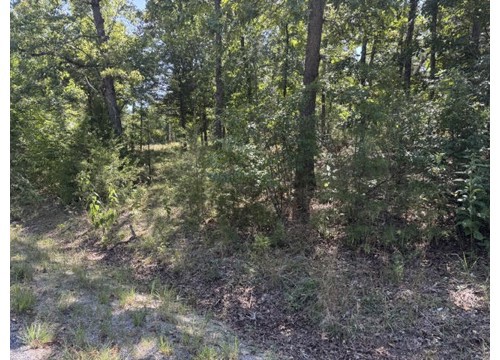 124 Valley Drive, Holiday Island AR