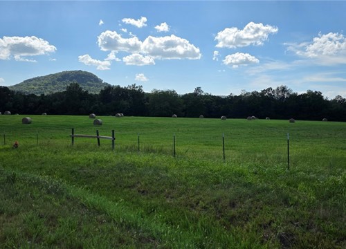 Starlite Drive, Harrison AR