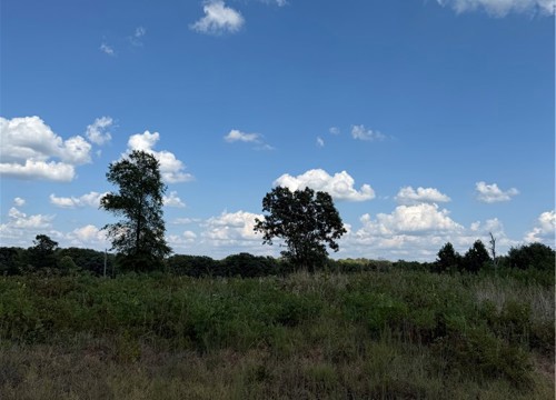 8 Chloe Cove, Russellville AR