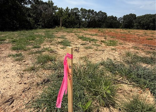 Lot 10 Little Street, Seligman MO