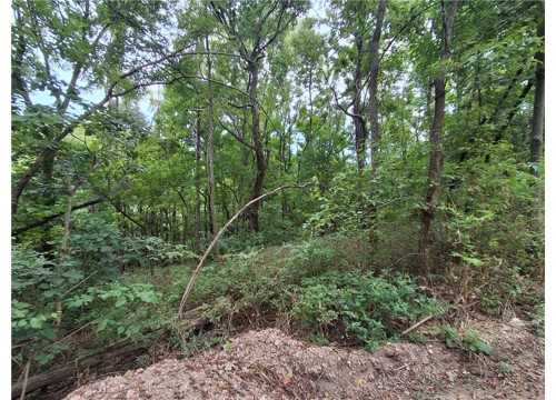 TBD County Road 517, Berryville AR