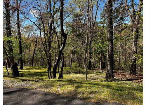 Kenilworth Drive, Bella Vista AR