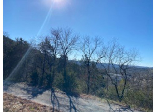 12 Lakeview Lane, Holiday Island AR