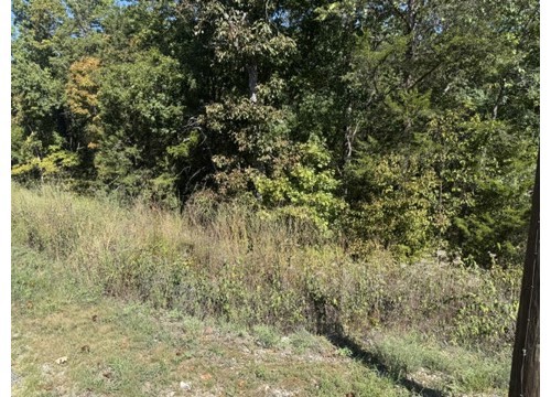 80 Wild Turkey Drive, Holiday Island AR