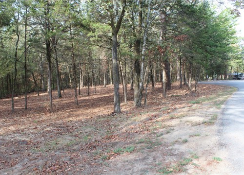 008 197, New Blaine AR