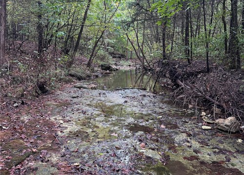 80.80 Acres Hwy 221 South, Berryville AR
