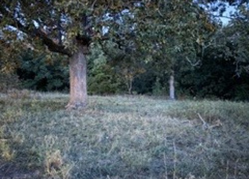 Tr 4 N Oakwood Trail, Noel MO