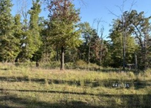 690 Grand Lane, Anderson MO